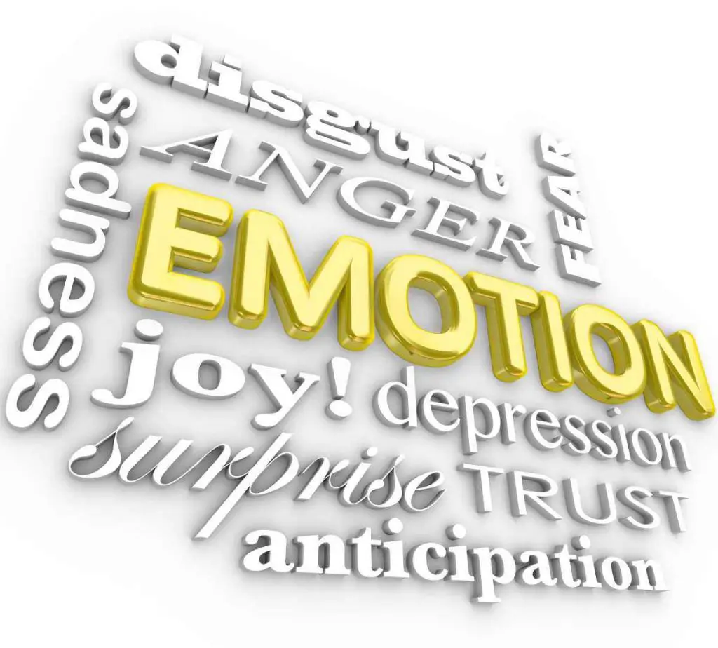 Words that convey emotion - disgust, anger, fear, sadness, joy, depression, surprise, trust, anticipation