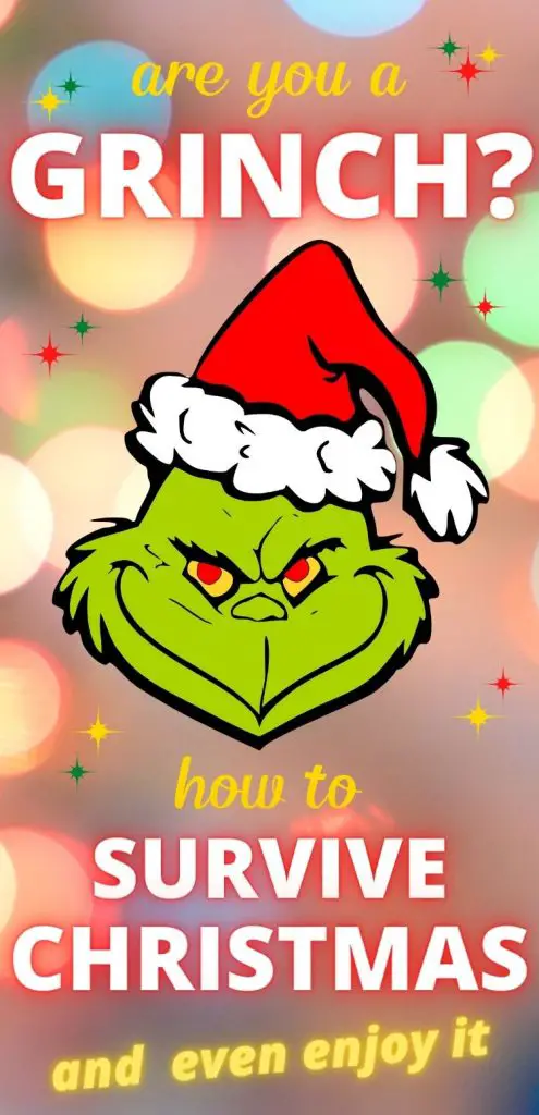 Why I HATE the Holidays: The ultimate guide to surviving Christmas