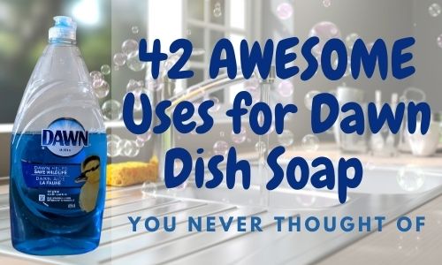 Image of a sunny kitchen counter and sink with bubbles floating and a bottle of Dawn Dish Detergent on counter. Text overlay read 42 Awesome Uses for Dawn Dish Soap