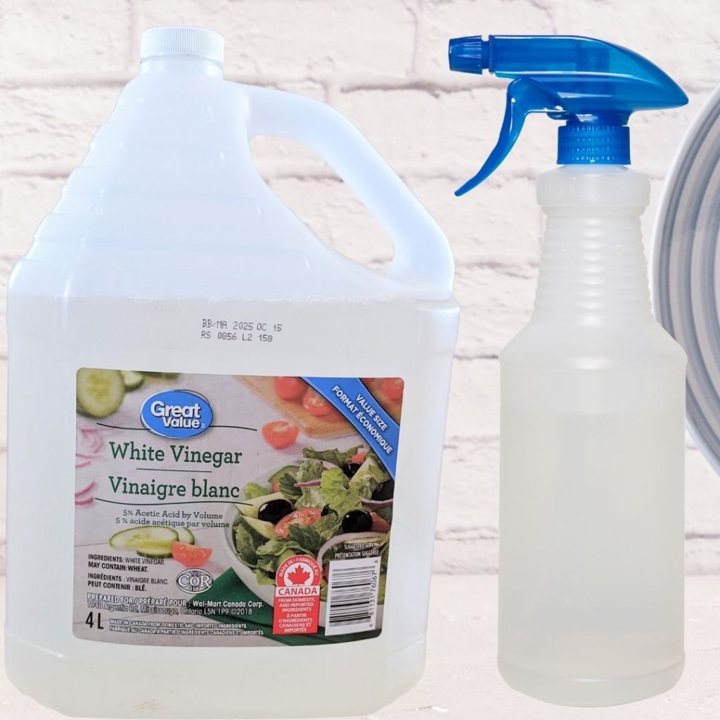 Image of a jug of vinegar and a spray bottle on a kitchen countertop to make DIY All-purpose cleaner with vinegar