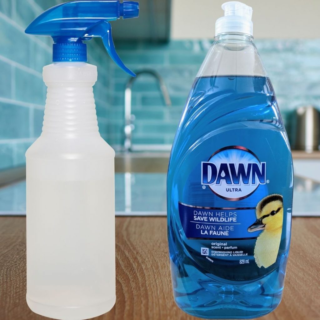 Image of Dawn bottle and spray bottle on countertop in kitchen to make Homemade all-purpose cleaner with Dawn