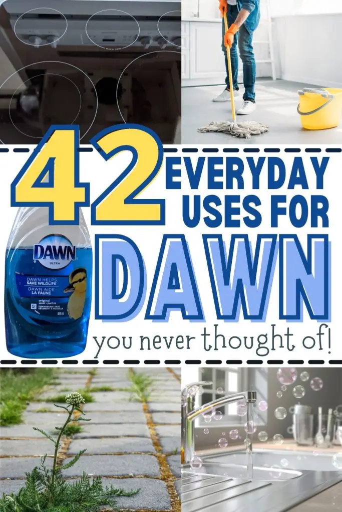 Pin reads 42 everyday uses for Dawn you never thought of. Pin contains 4 images: 1st image is glass top stove cleaned using Dawn; 2nd image is of a woman mopping her tile floor with Dawn; 3rd image is a interlocked patio with weeds that will be killed with a Dawn mixture between the bricks; 4th image is a sparkling clean kitchen faucet and sink with Dawn bubbles floating