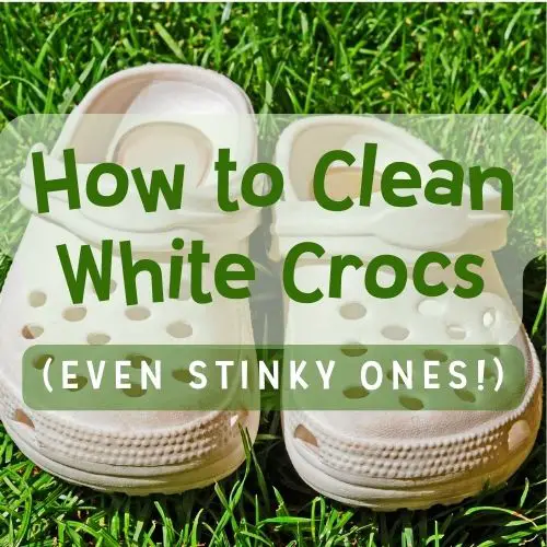 Image text reads "How to clean white crocks (even stinky ones!). Background image is a pair of dirty white crocs on strands of green grass before using these ways to clean dirty white crocs