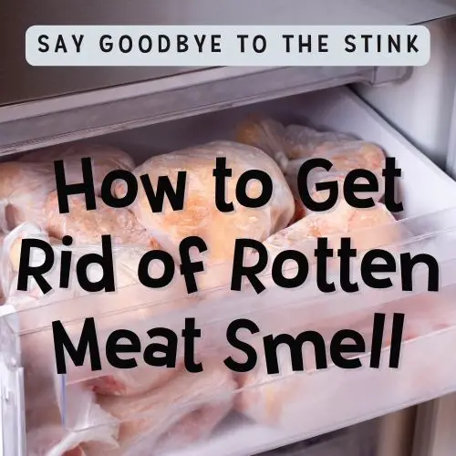 Image text reads "Say goodbye to the stink: How to get rid of rotten meat smell" Background image is a freezer tray full of rotting meat