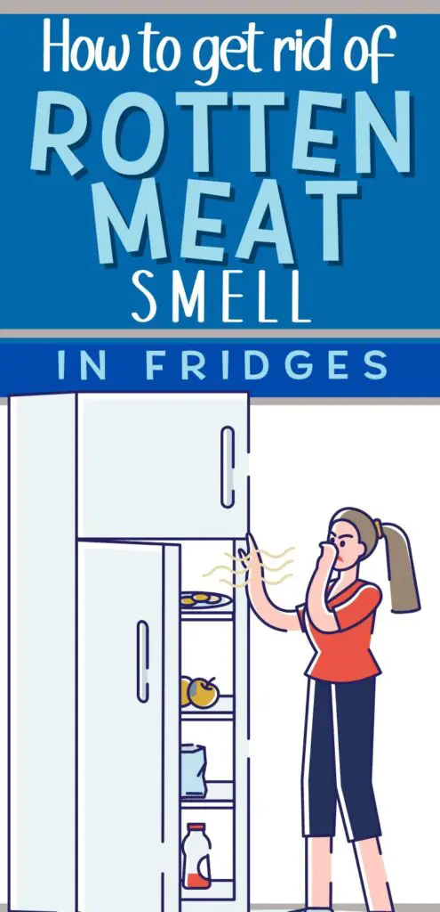 Pin text reads "how to get rid of rotten meat smell in fridges." Background graphic image is of a woman looking into her fridge while holding her nose to protect against the putrid odor emanating from fridge before using these cleaning tips to disinfect and deodorize fridges
