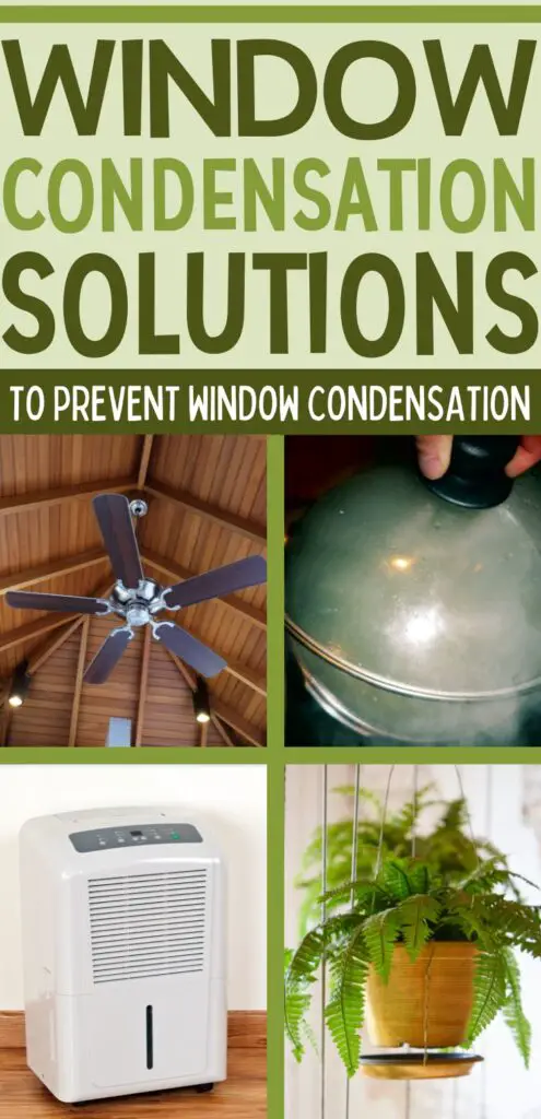 Pin text reads "Window condensation solutions to prevent window condensation." Image  collage includes a high ceiling fan; a cover on a boiling pot; a dehumidifier; and a boston fern plant to reduce humidity.