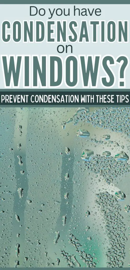 Pin text reads "Do you have condensation on windows? prevent condensation with these tips." Background image is a blurry view through a window covered in condensation droplets.