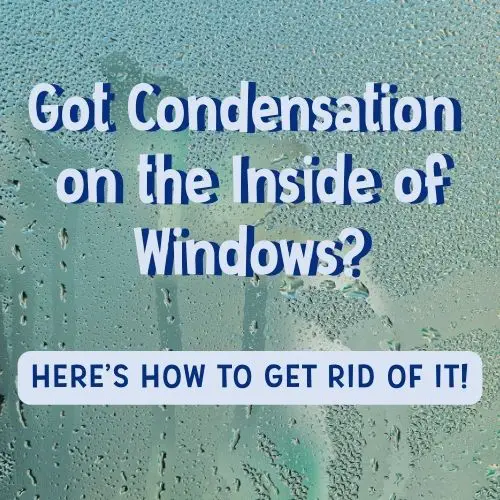 Text reads "Got condensation on the inside of windows? Here's how to get rid of it." Background image is the blurry view through a wet, foggy window.