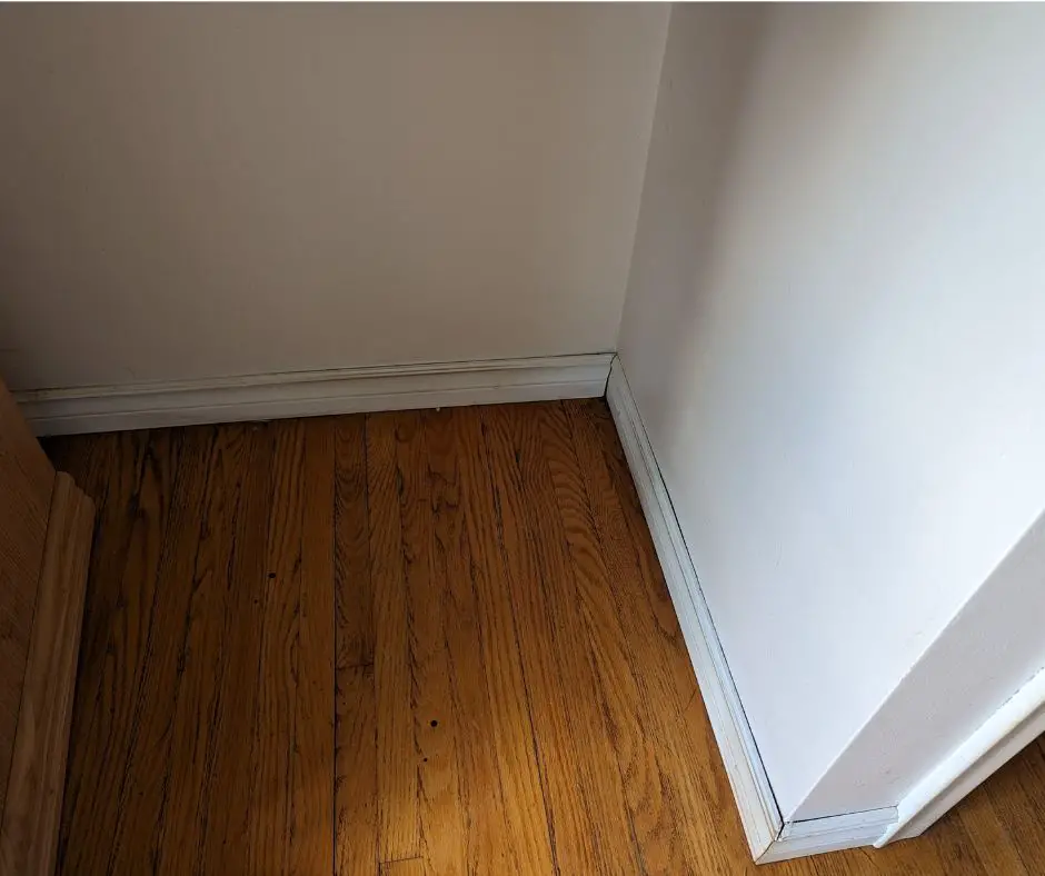 Image of clean walls in dog's corner