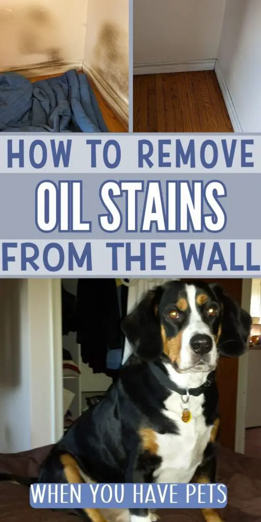 Top left image of dirty oily walls. Top right image of clean walls. Bottom image of tri-color bernese mountain dog/beagle mix on bed