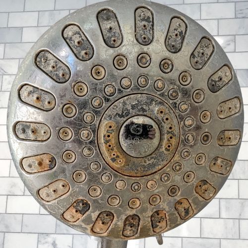 Photo of clogged shower head covered in mineral deposits