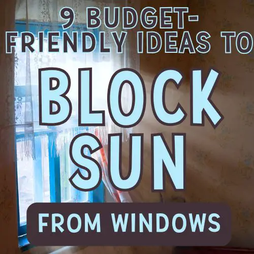 Image of sunlight coming through a window with text '9 budget-friendly ideas to block sun from windows'