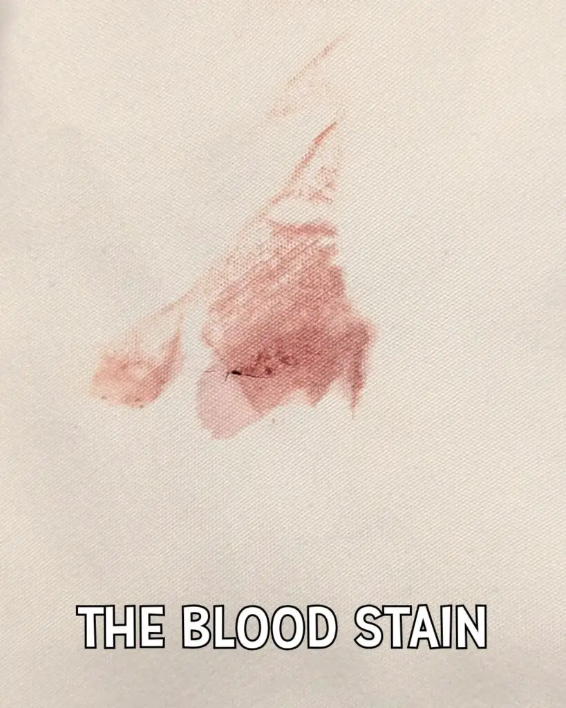 Photo of blood stain on bedding