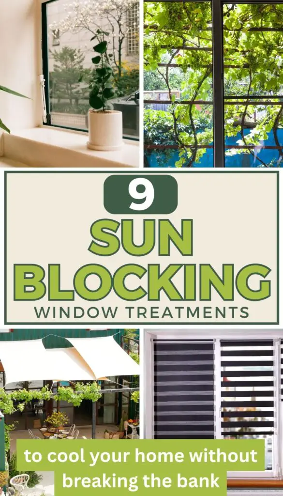 A collage showcasing various sun blocking window treatments, including a plant by a window, outdoor greenery, and shades, illustrating ideas to block heat from windows and options like heat blocking curtains and temporary window shades.