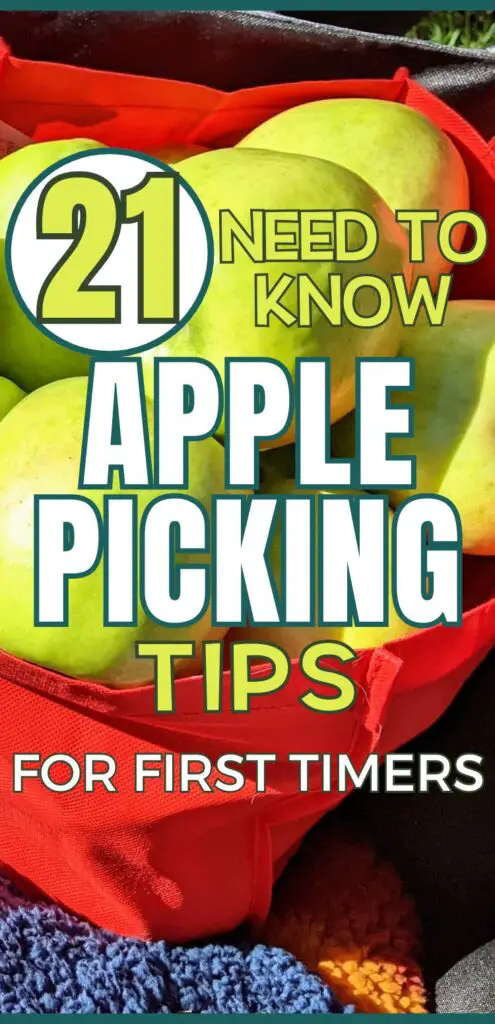 A close-up view of fresh apples in a red bag, accompanied by a text overlay featuring "21 Need to Know Apple Picking Tips for First Timers."