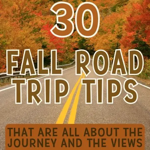 A scenic road surrounded by vibrant autumn foliage, accompanied by text highlighting "30 Fall Road Trip Tips" focused on the journey and views.