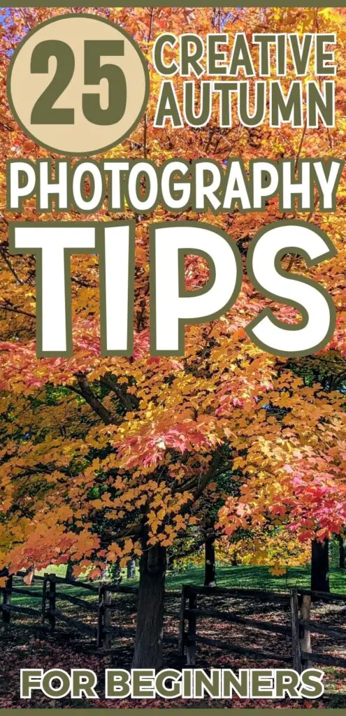 A vibrant autumn scene features colorful leaves on trees, accompanied by a wooden fence, promoting creative autumn photography tips for outdoor fall activities.