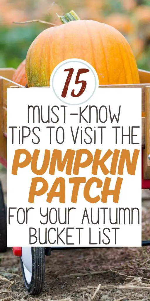 A close-up of a wagon filled with pumpkins, accompanied by text highlighting "15 Must-Know Tips to Visit the Pumpkin Patch for Your Autumn Bucket List," relevant to autumn activities for families and couples.