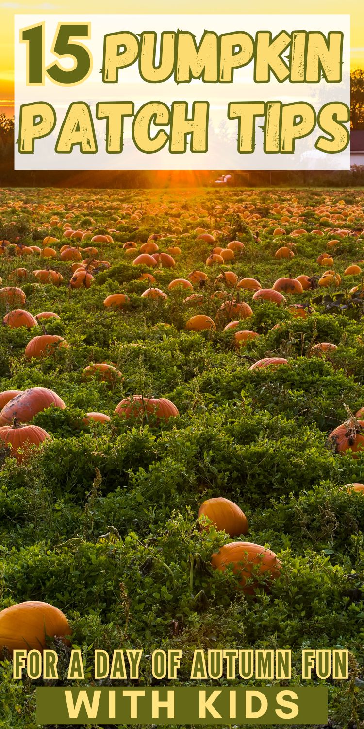 Patch Perfect Fall 15 Pumpkin Patch Tips for the Perfect Fall Visit