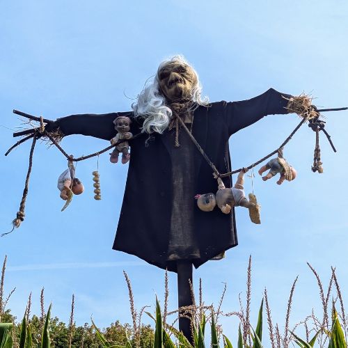 Cursed witch with creepy dolls DIY  Halloween scarecrow
