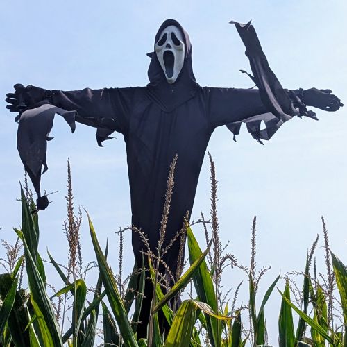 Ghostface DIY Halloween scarecrow