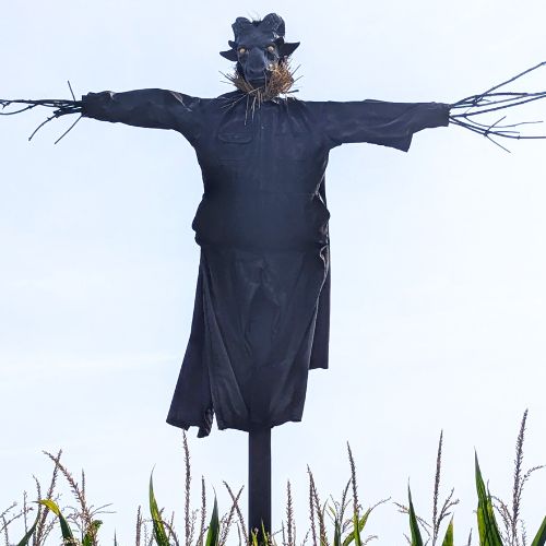 Image of The Beast DIY Halloween Scarecrow
