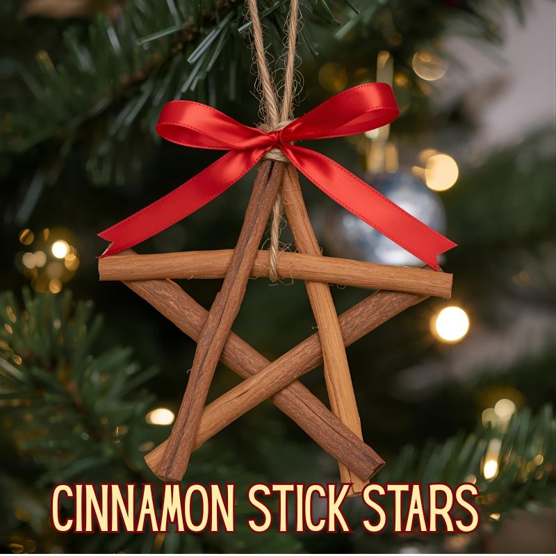 Cinnamon stick star ornaments - Easy DIY Christmas Ornament Ideas