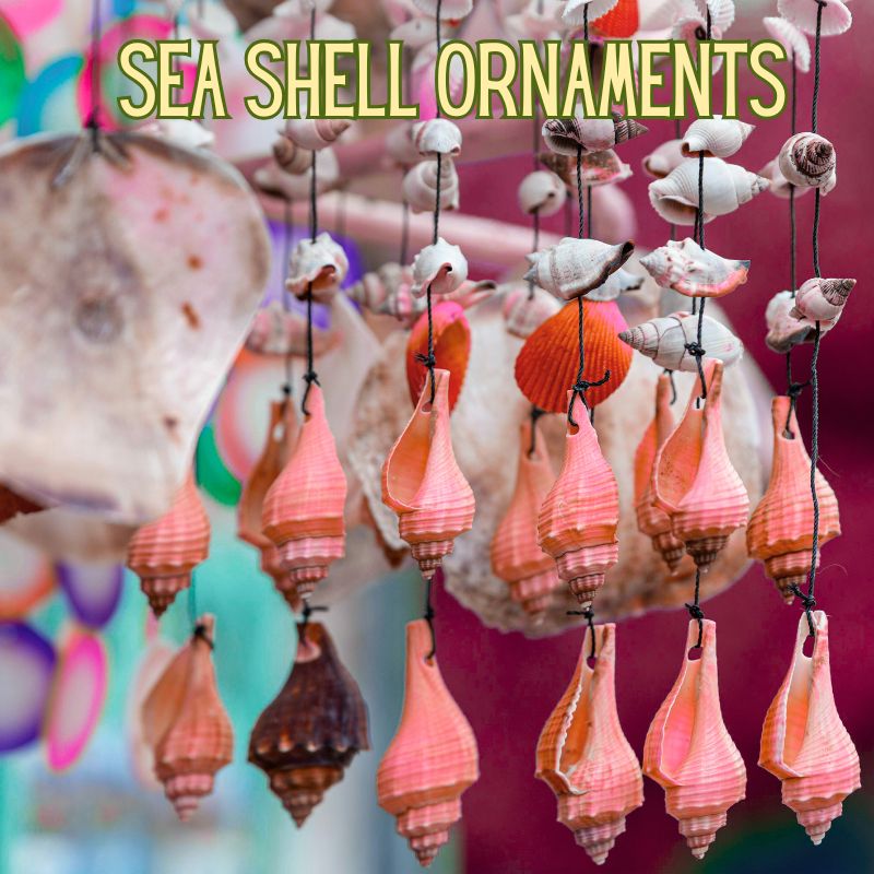 Sea shell ornaments